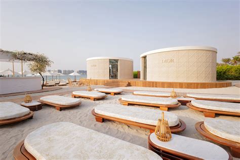 wasp dior dubai|Dior Opens Concept Store at Dubai Jumeirah Beach .